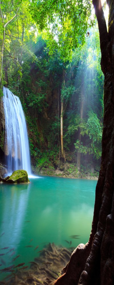 фотообои Водопад в джунглях