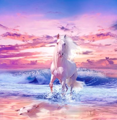фотообои Белая лошадь и море