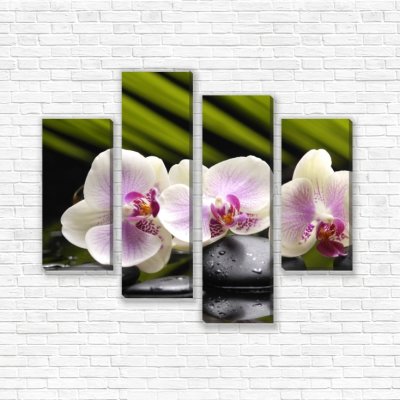 модульные картины Орхидея