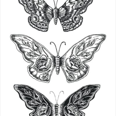 постеры Три бабочки