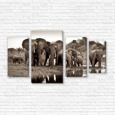 модульные картины Со слонами