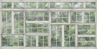 фотообои Пальмы за окном